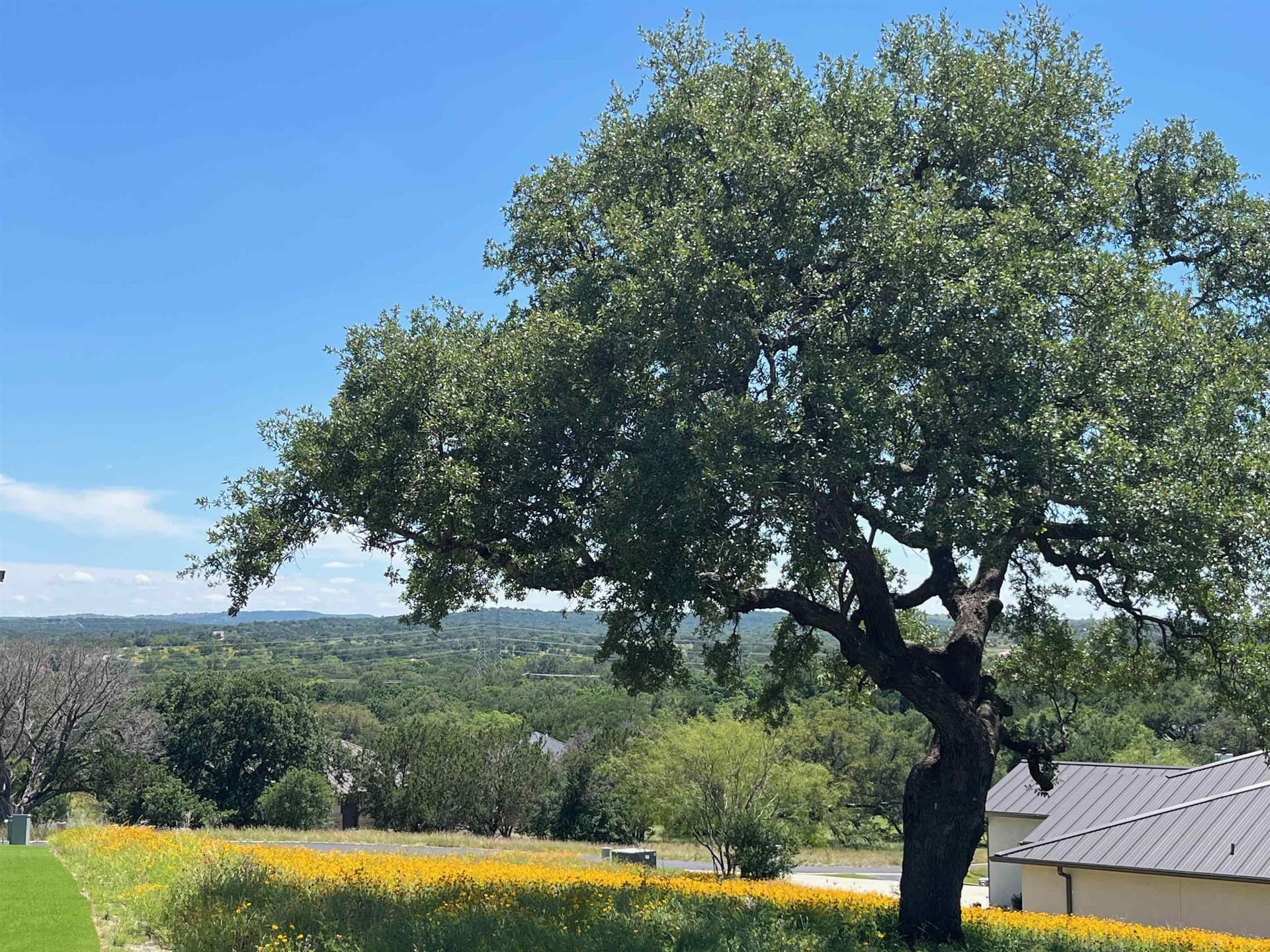 0.32 acres in Llano County gallery image 3