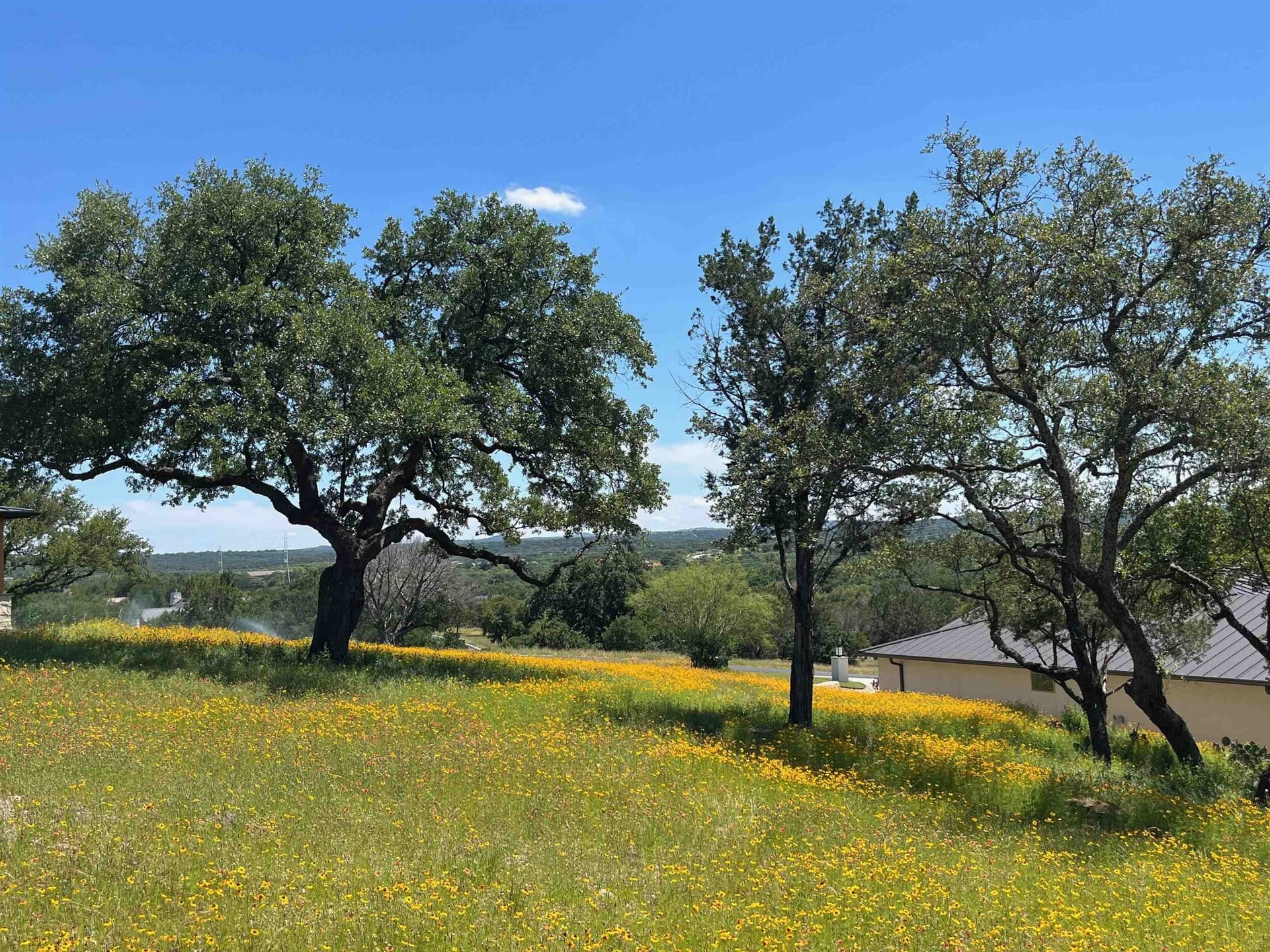 0.32 acres in Llano County gallery image 4