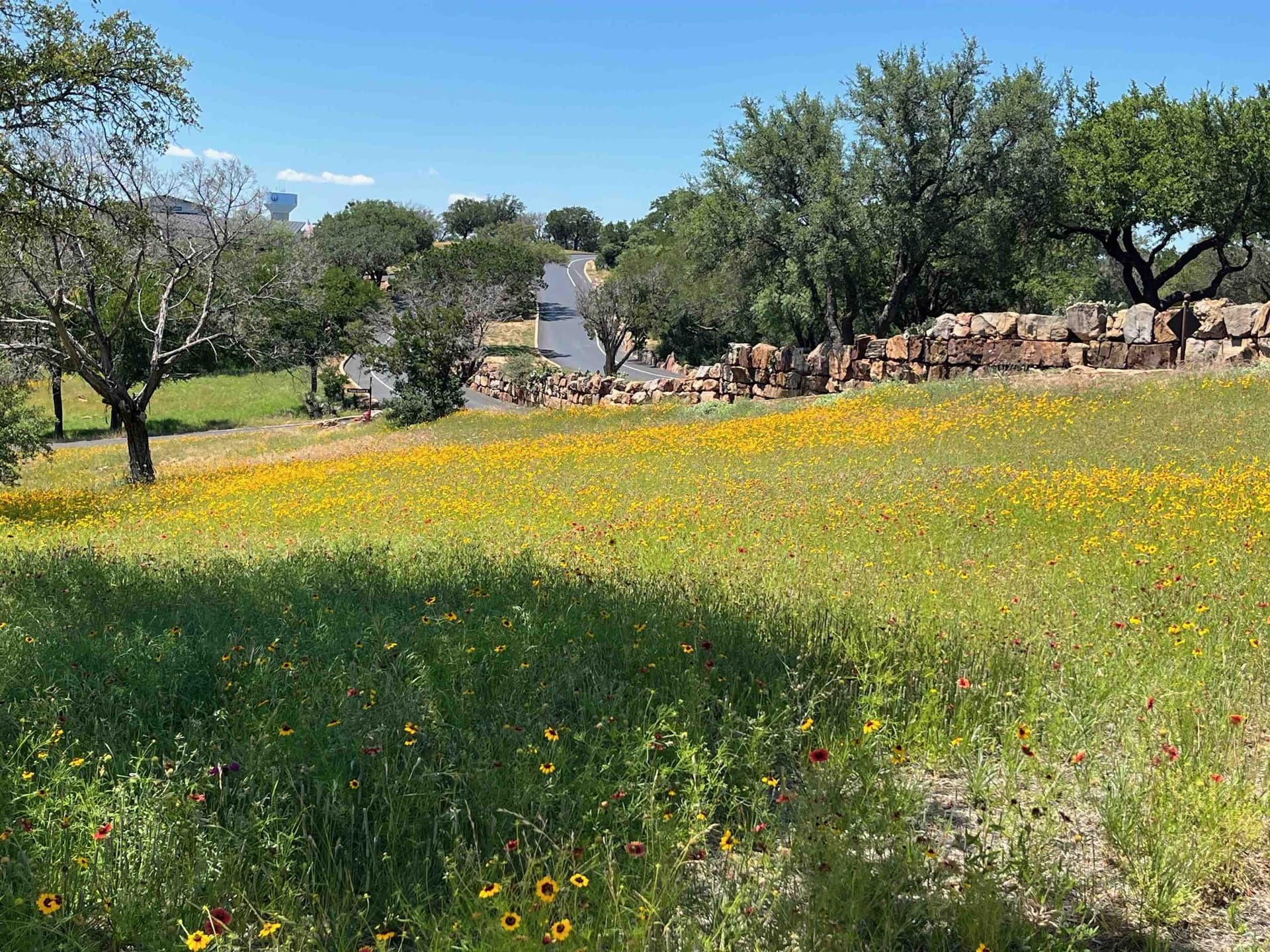 0.32 acres in Llano County gallery image 2