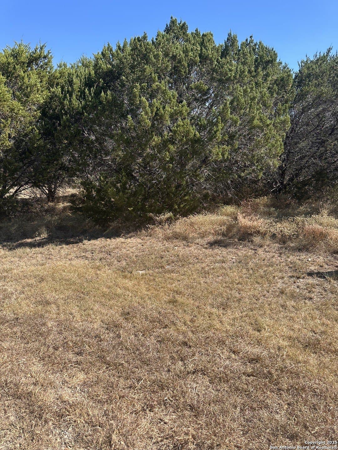 0.21 acres in Comal County gallery image 2