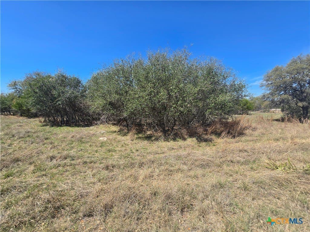 0.29 acres in Blanco County featured view
