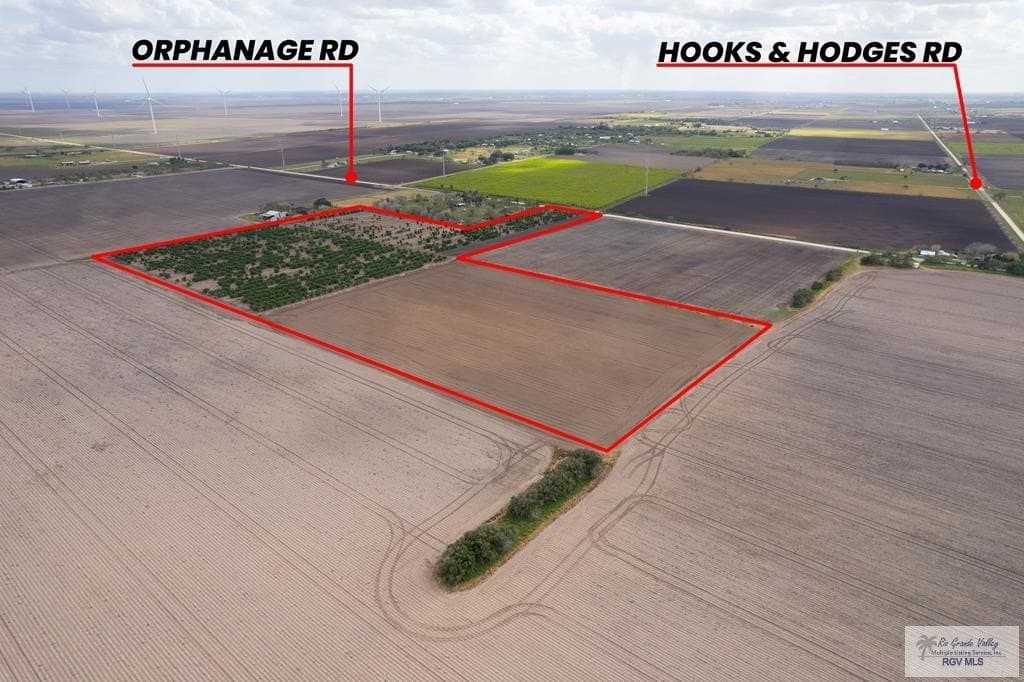 26.19 acres in CAMERON County gallery image 4