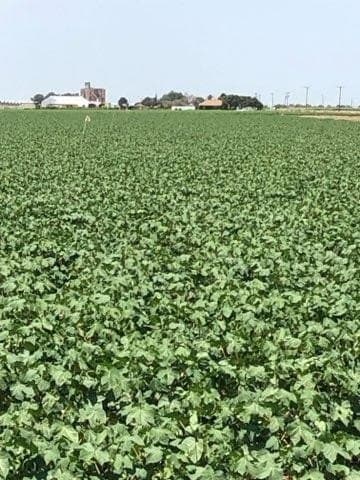 1.08 acres in Lubbock County - photo 22