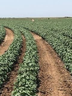 1.08 acres in Lubbock County - photo 21