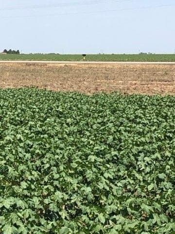 1.08 acres in Lubbock County - photo 23