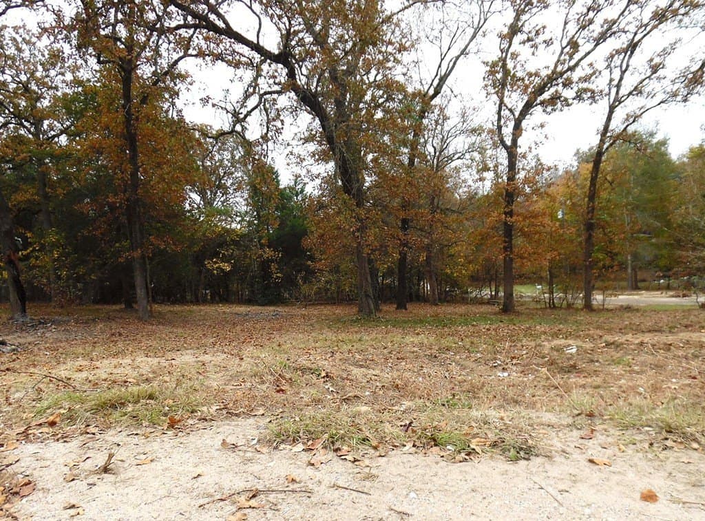 0.18 acres in Van Zandt County gallery image 3