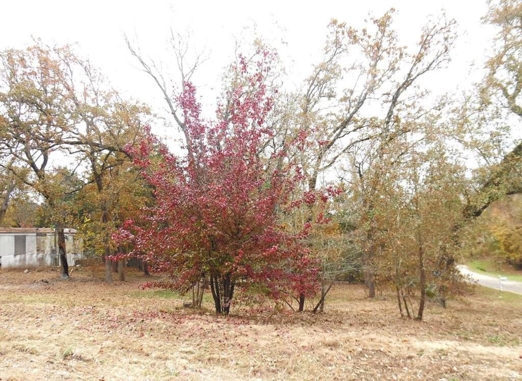 0.18 acres in Van Zandt County