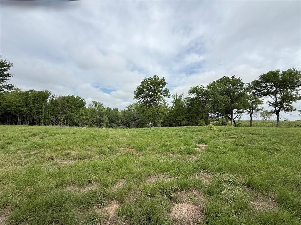 2.57 acres in Navarro County gallery image 2