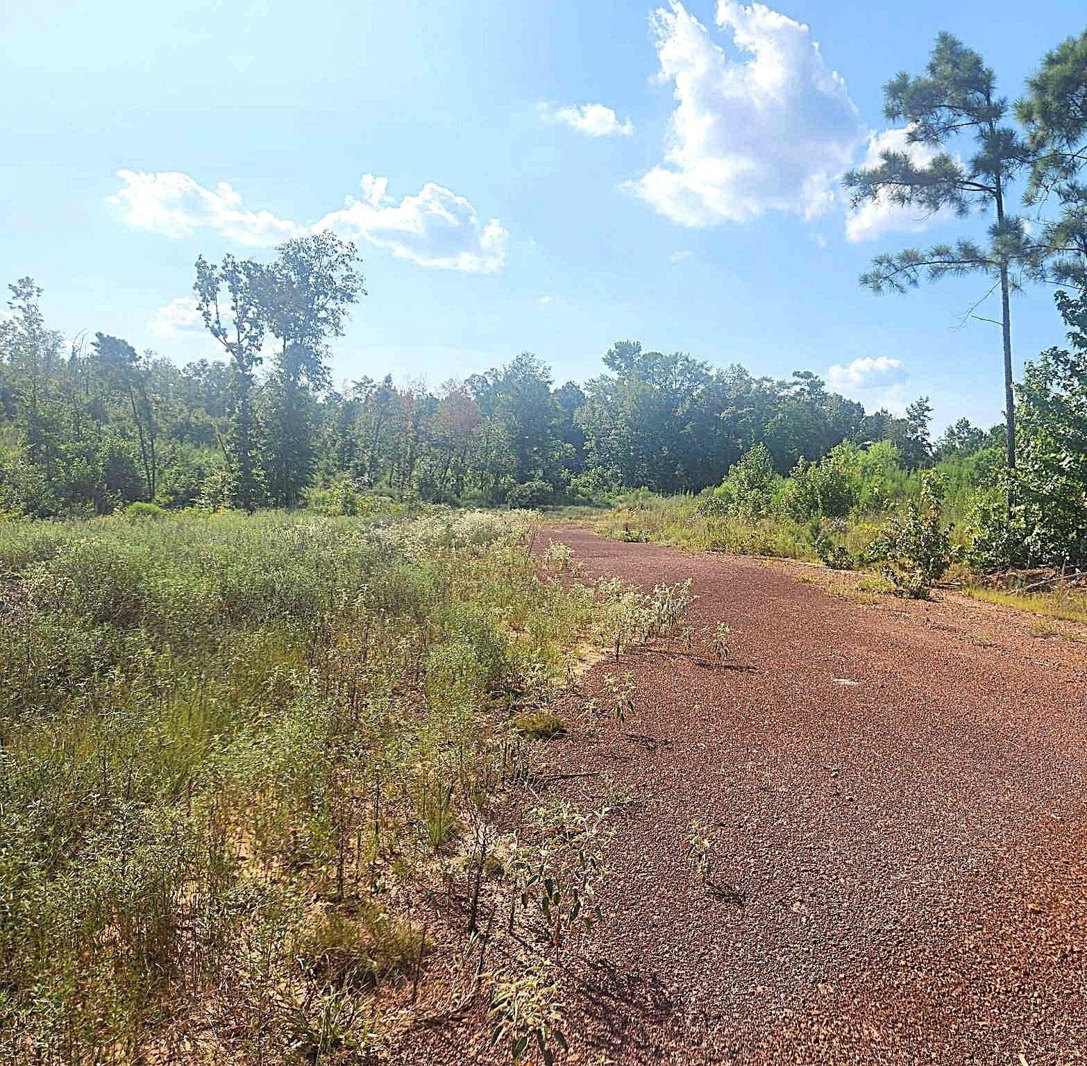 57.83 acres in Harrison County gallery image 2