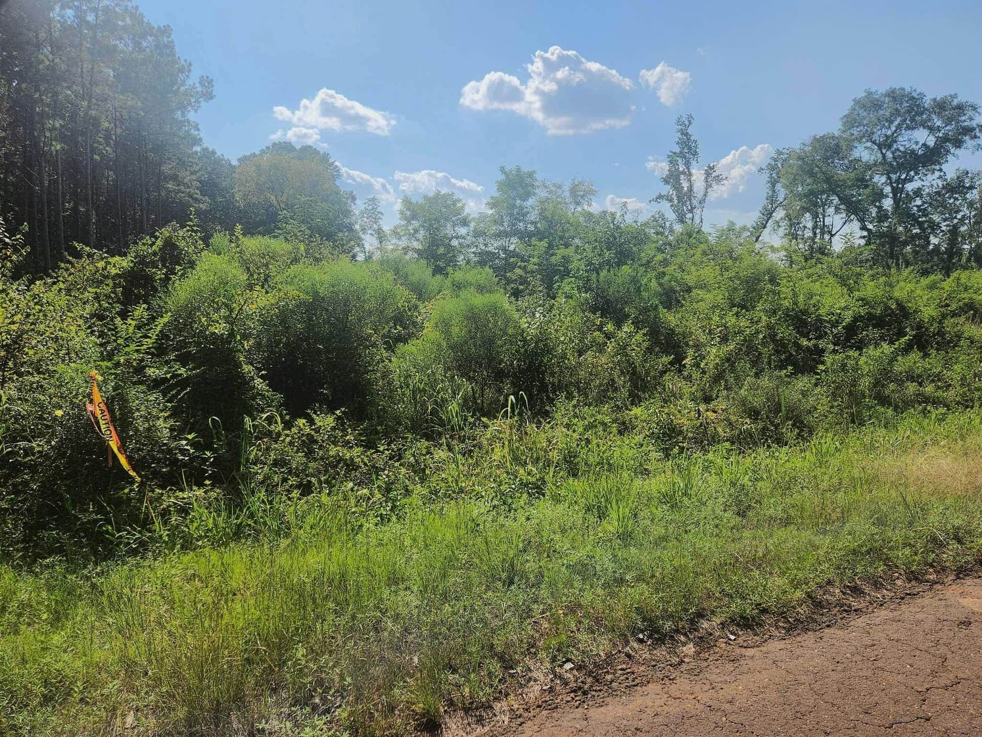 57.83 acres in Harrison County - photo 12