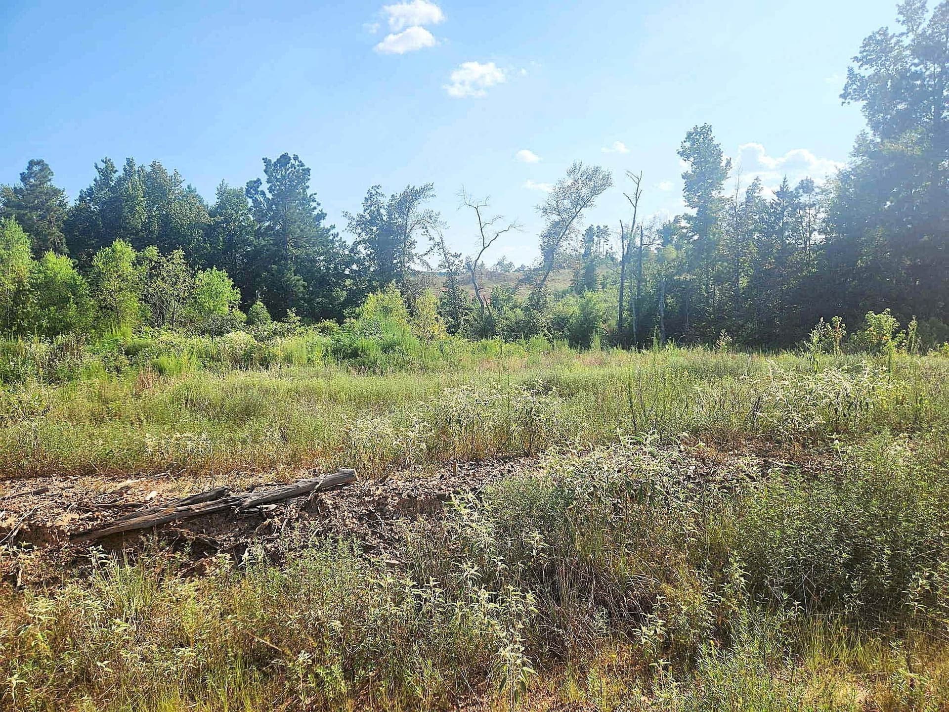 57.83 acres in Harrison County - photo 9