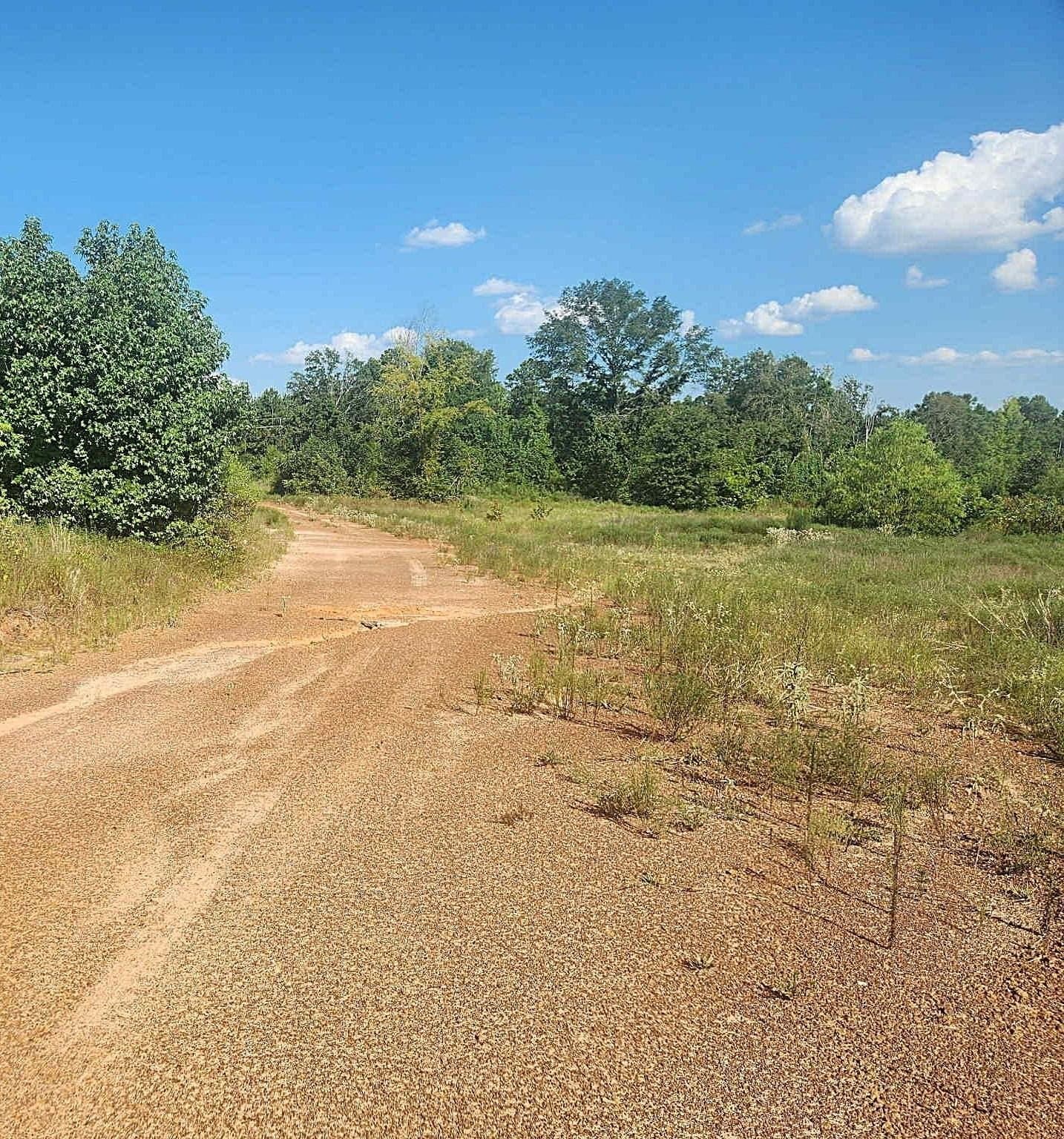 57.83 acres in Harrison County - photo 8