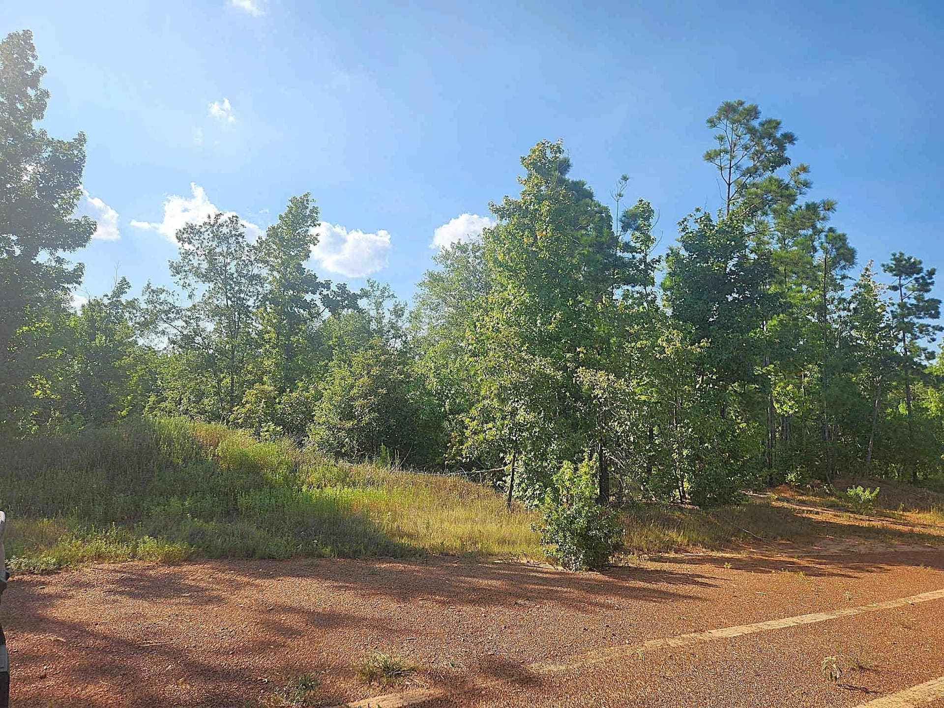 57.83 acres in Harrison County gallery image 3