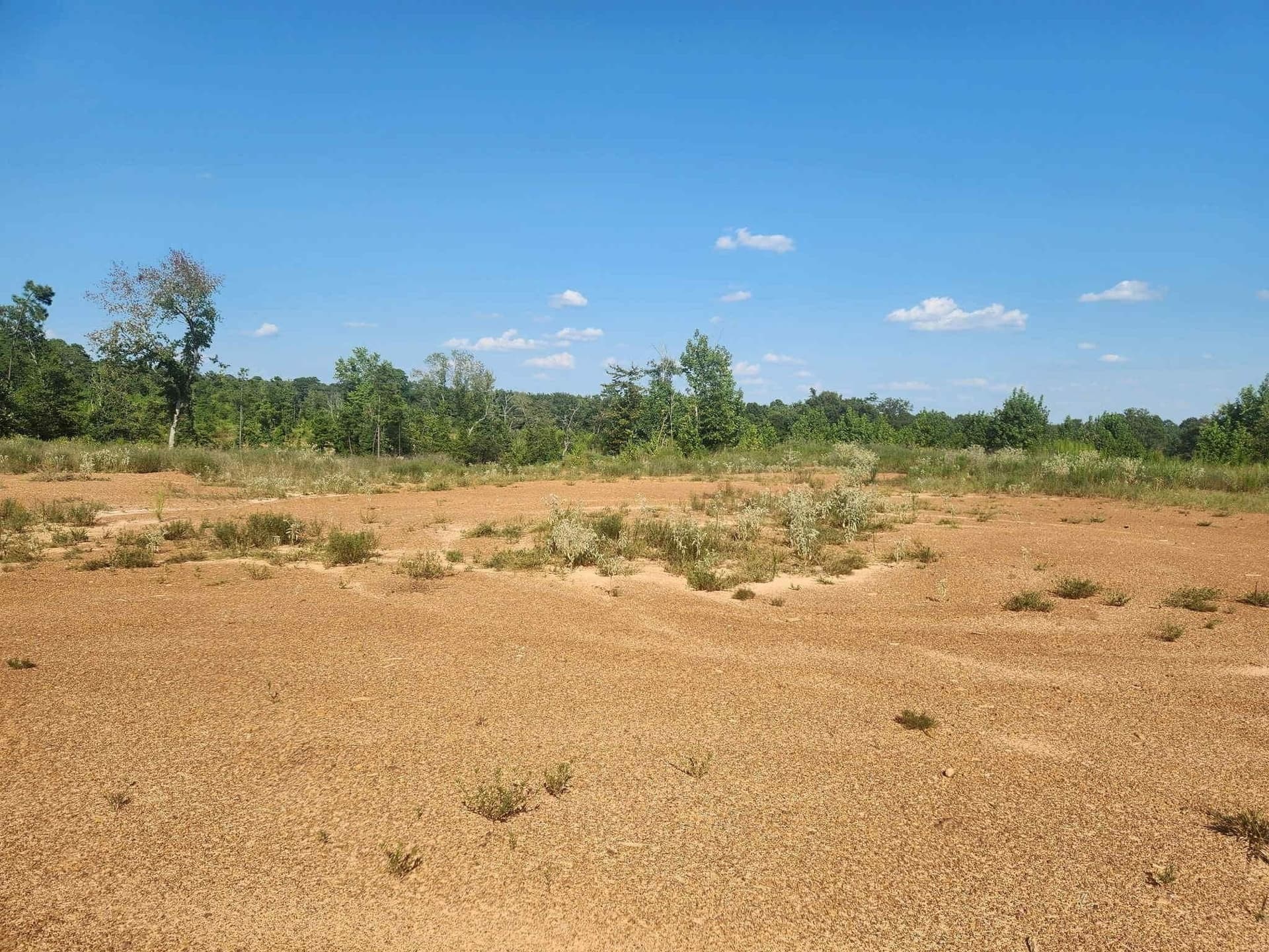 57.83 acres in Harrison County featured view