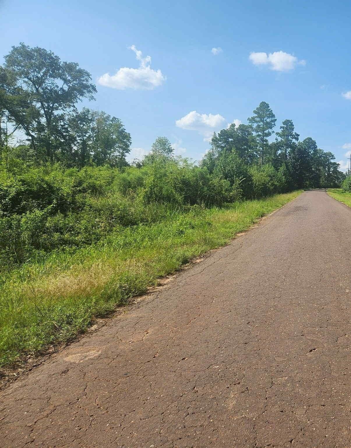 57.83 acres in Harrison County - photo 13
