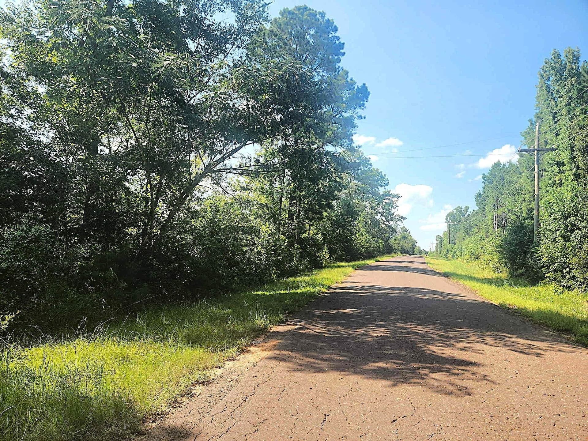 57.83 acres in Harrison County - photo 10