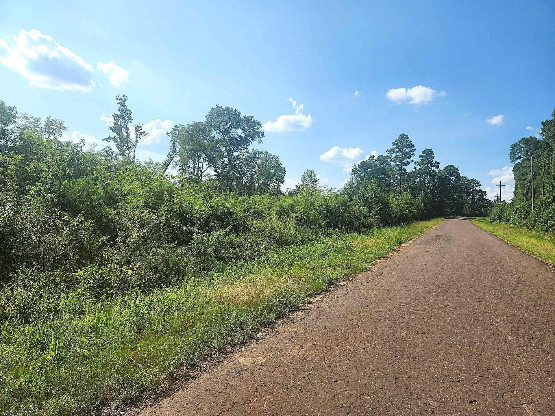 57.83 acres in Harrison County - photo 15