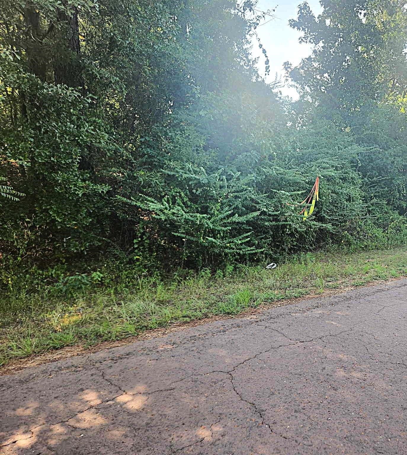 57.83 acres in Harrison County - photo 11