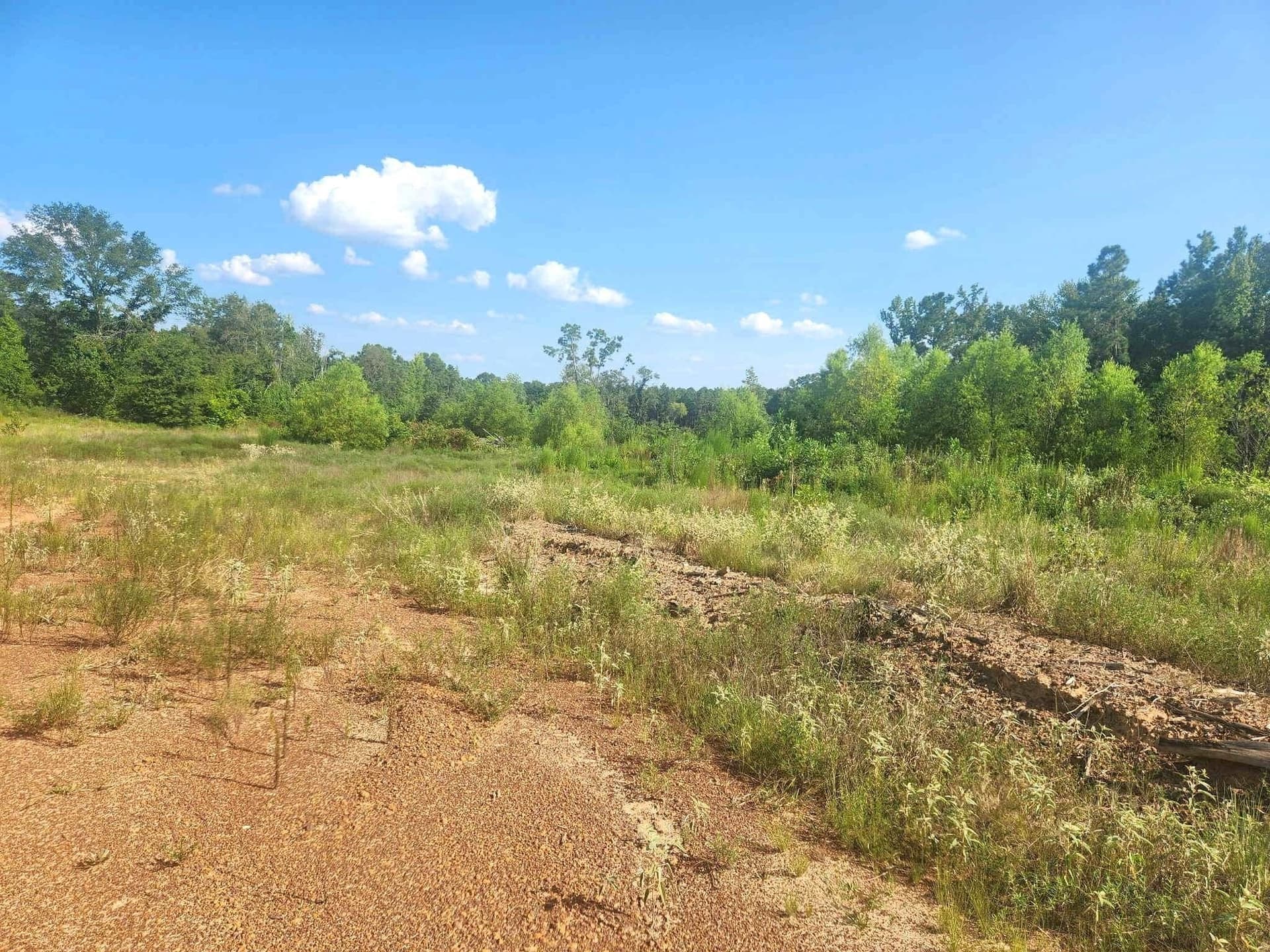 57.83 acres in Harrison County - photo 7