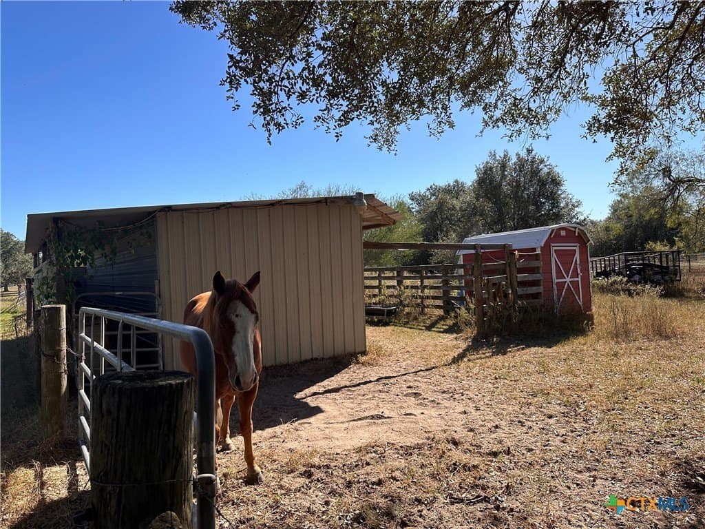 5 acres in DeWitt County gallery image 4