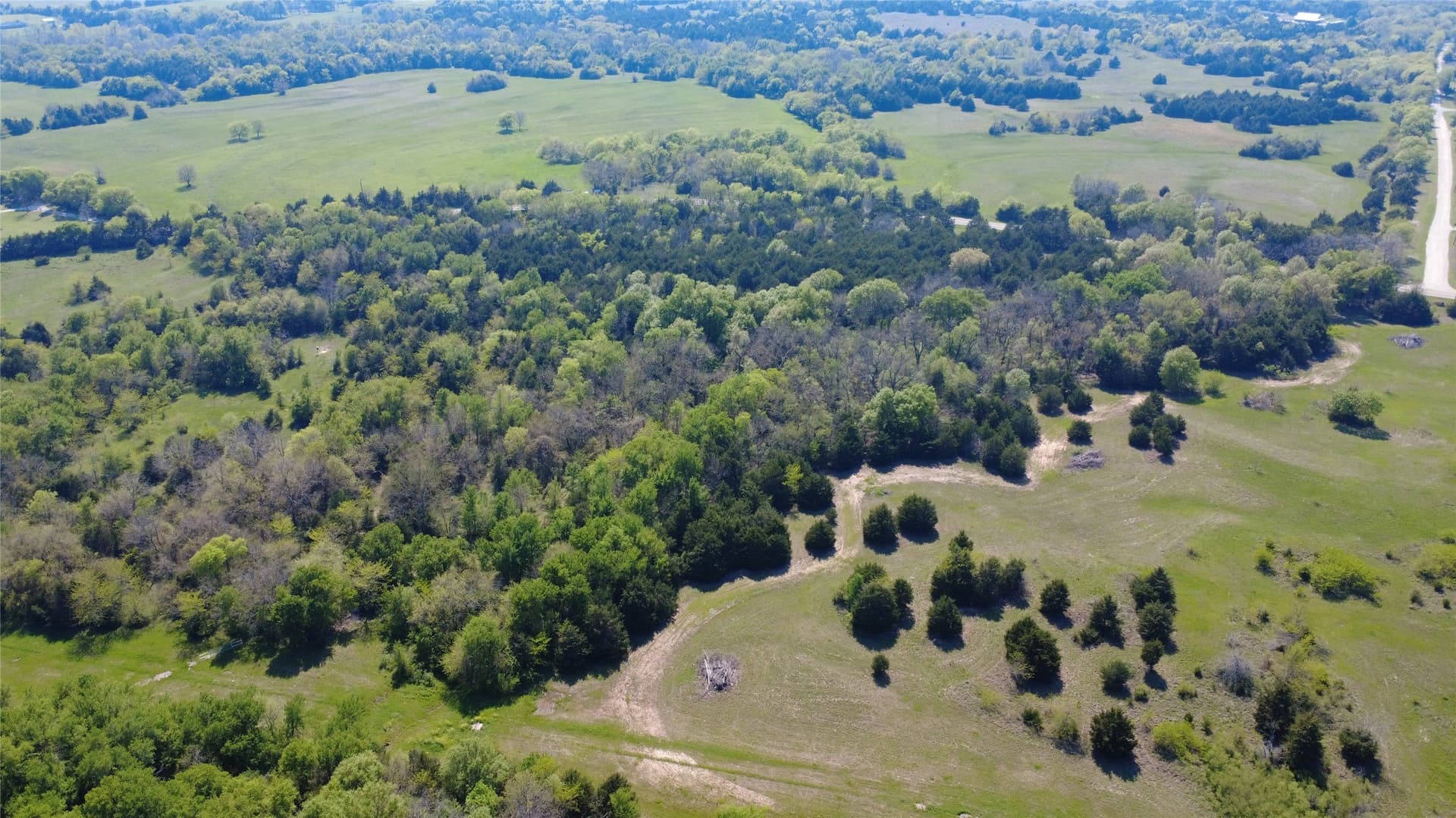 3.01 acres in Hunt County gallery image 3
