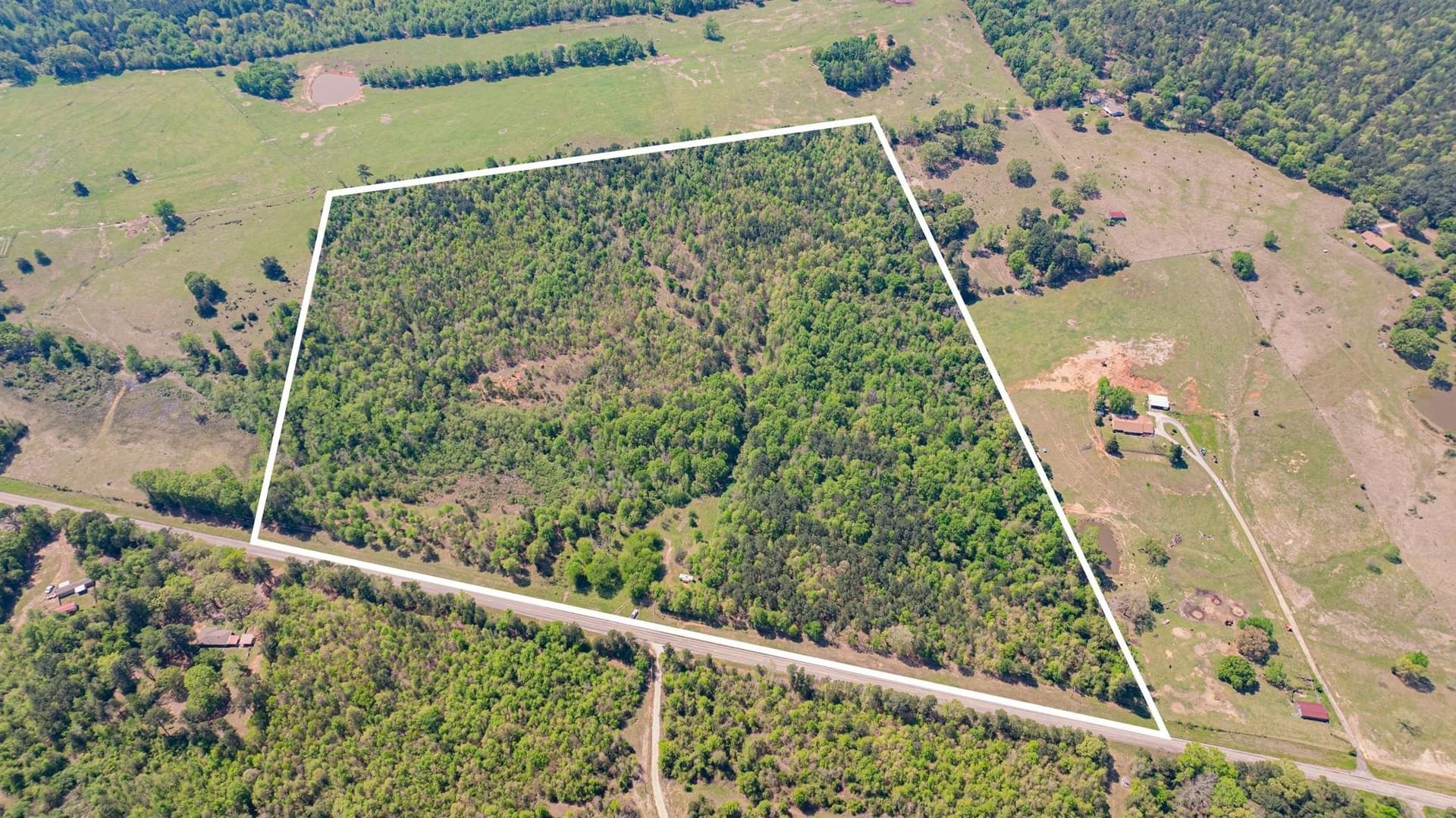 49.77 acres in Texas County featured view
