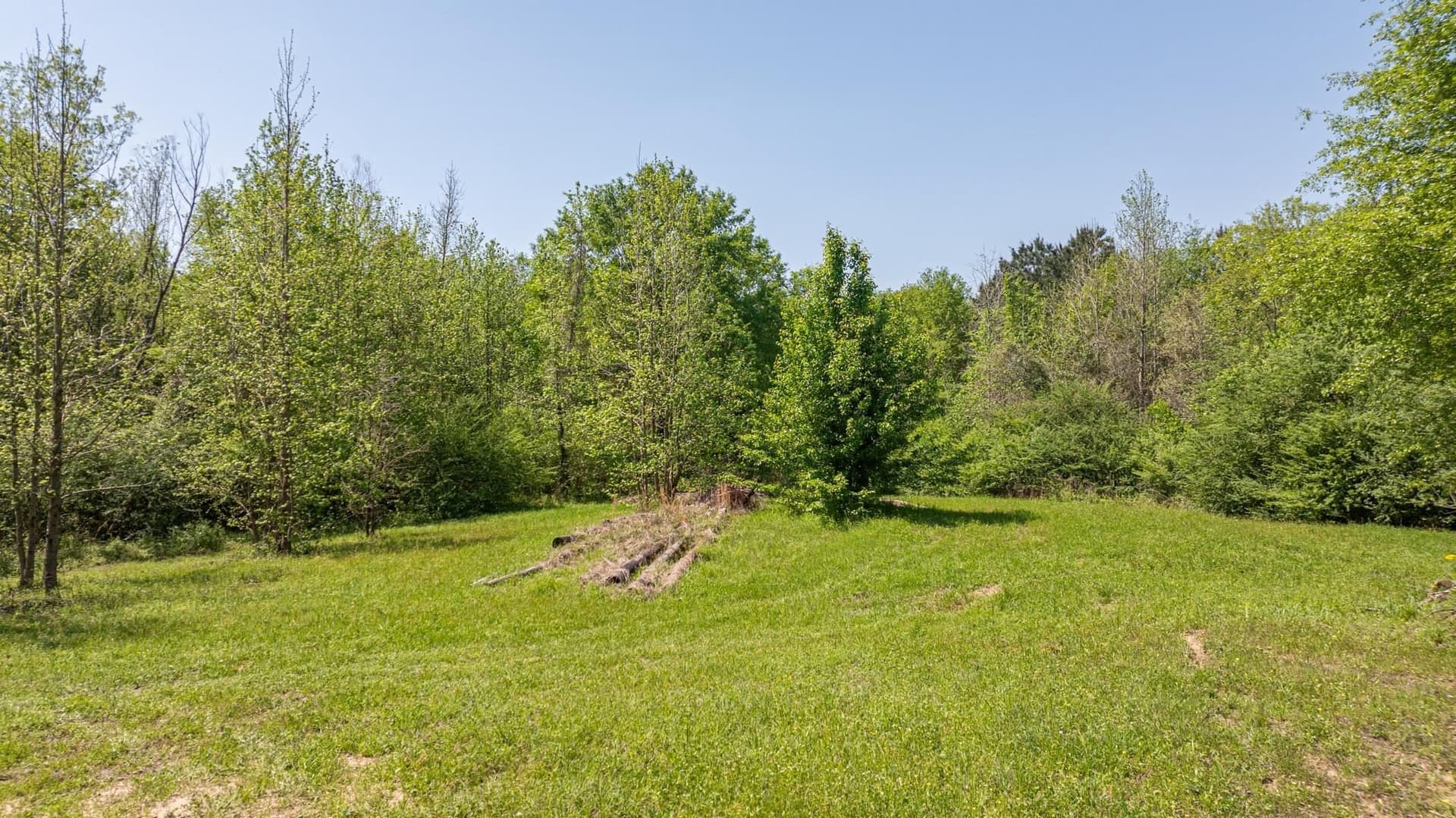 49.77 acres in Texas County gallery image 2