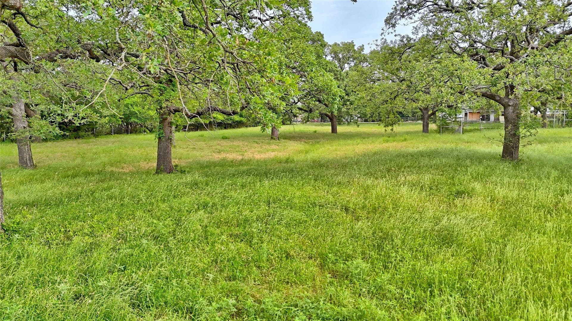 15.59 acres in Montague County - photo 12