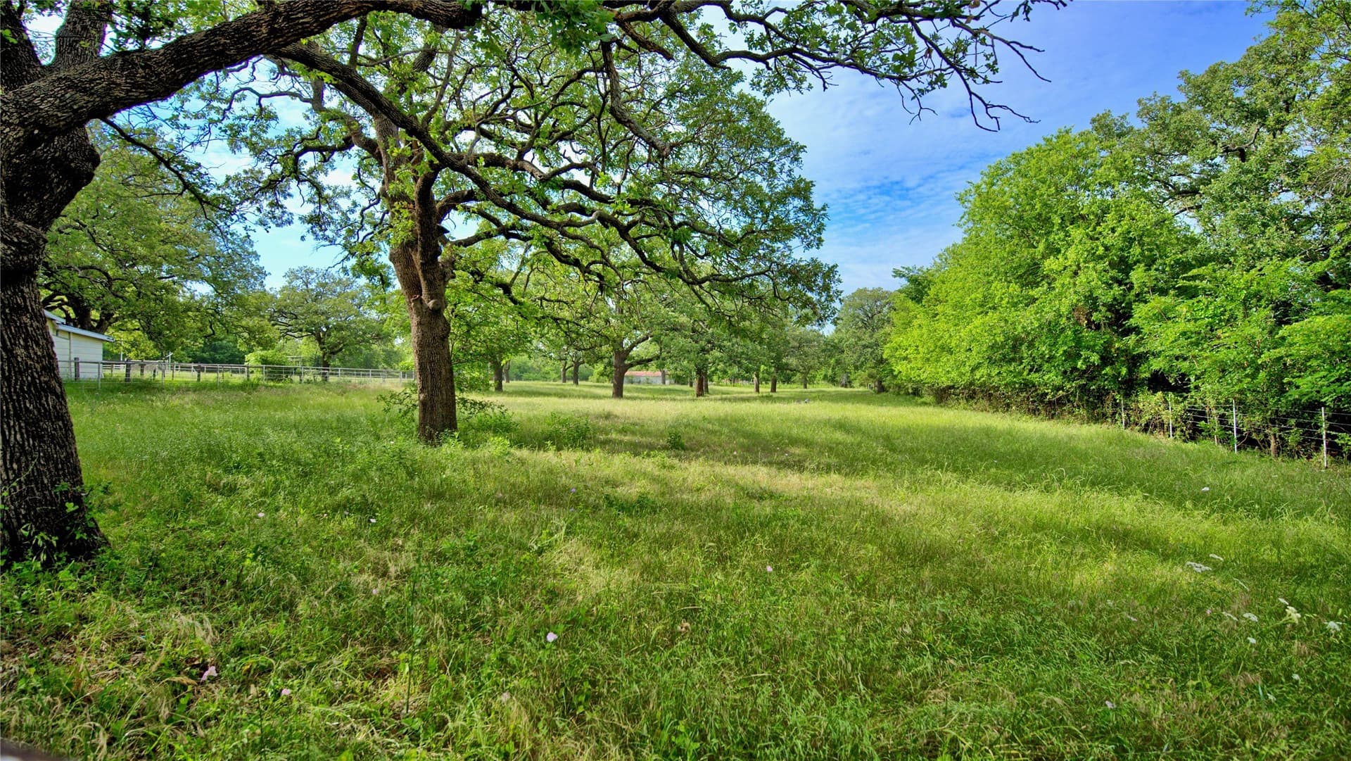 15.59 acres in Montague County - photo 16