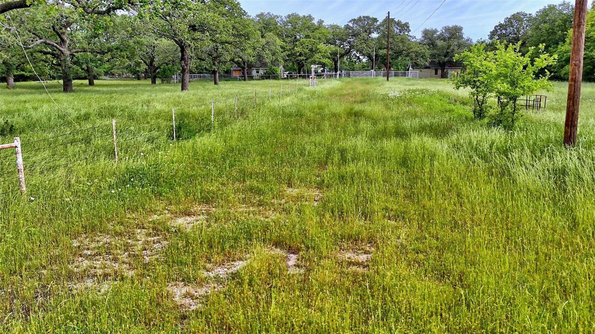 15.59 acres in Montague County - photo 17