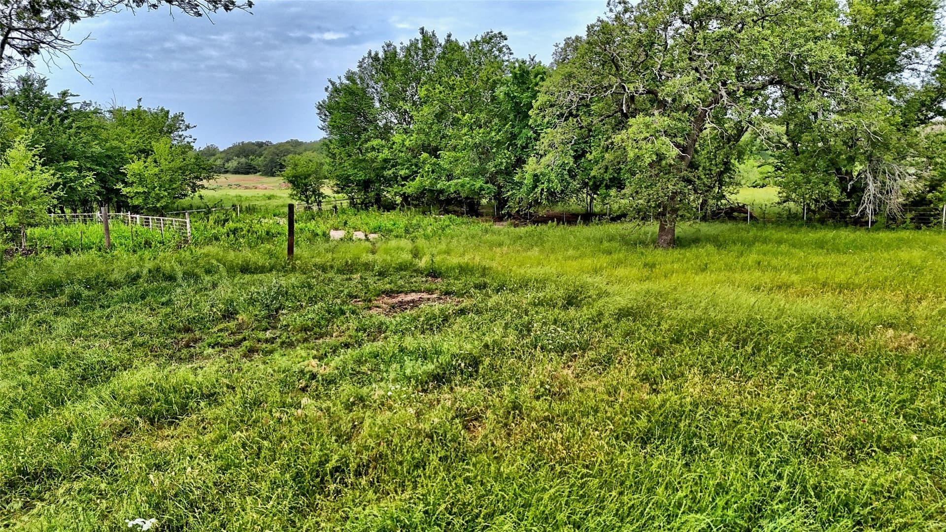 15.59 acres in Montague County - photo 26