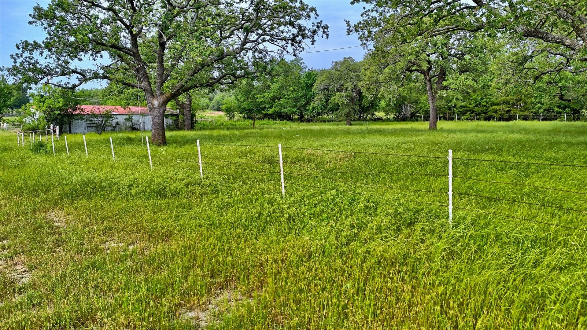 15.59 acres in Montague County gallery image 2