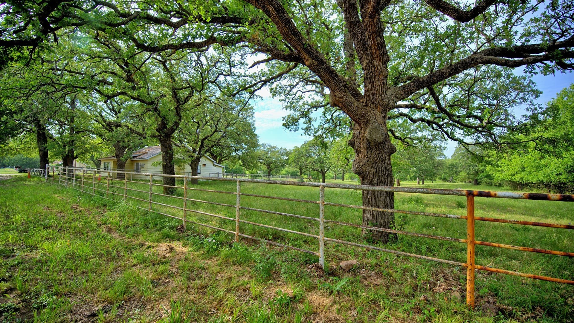 15.59 acres in Montague County - photo 28