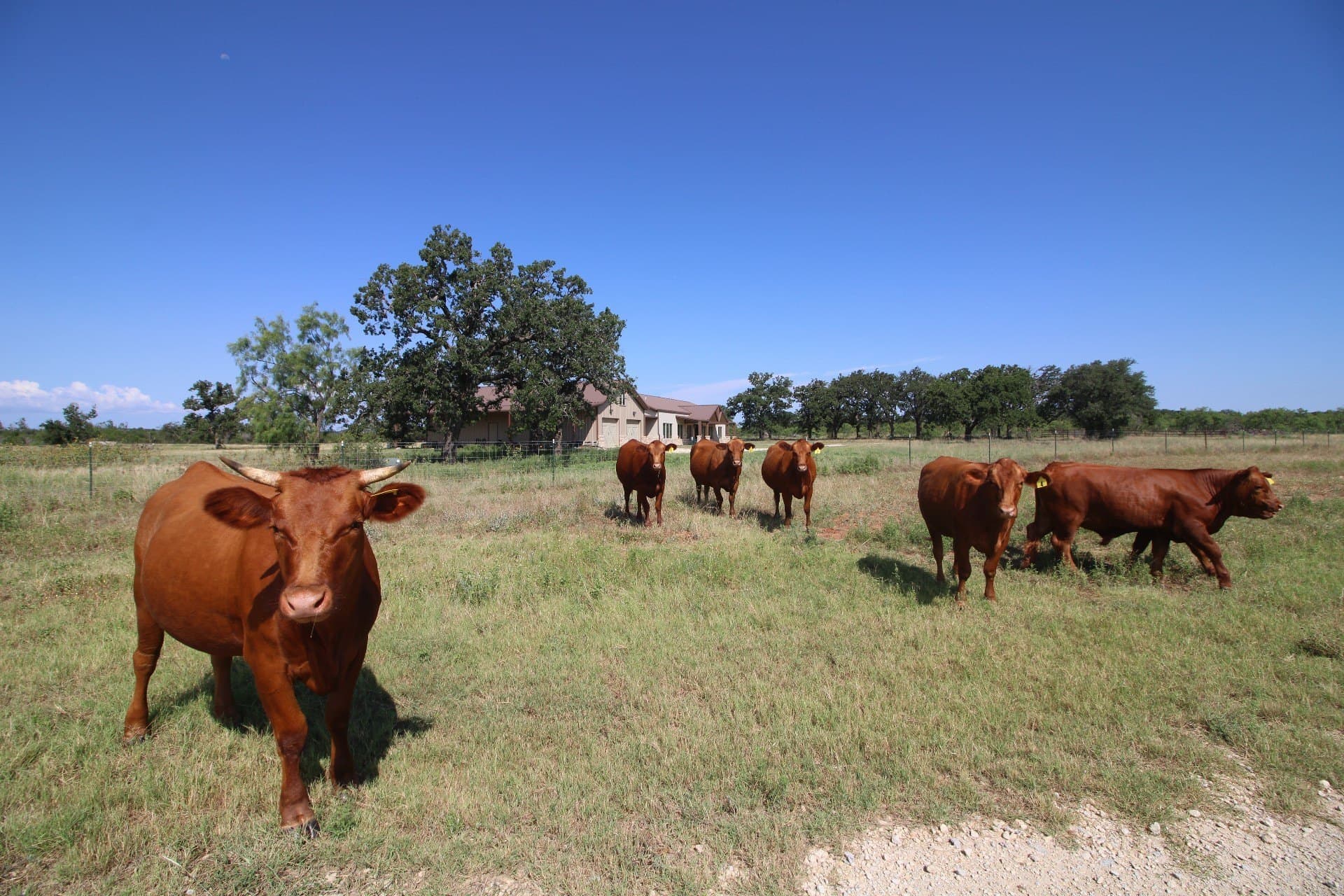 320 acres in Taylor County - photo 40
