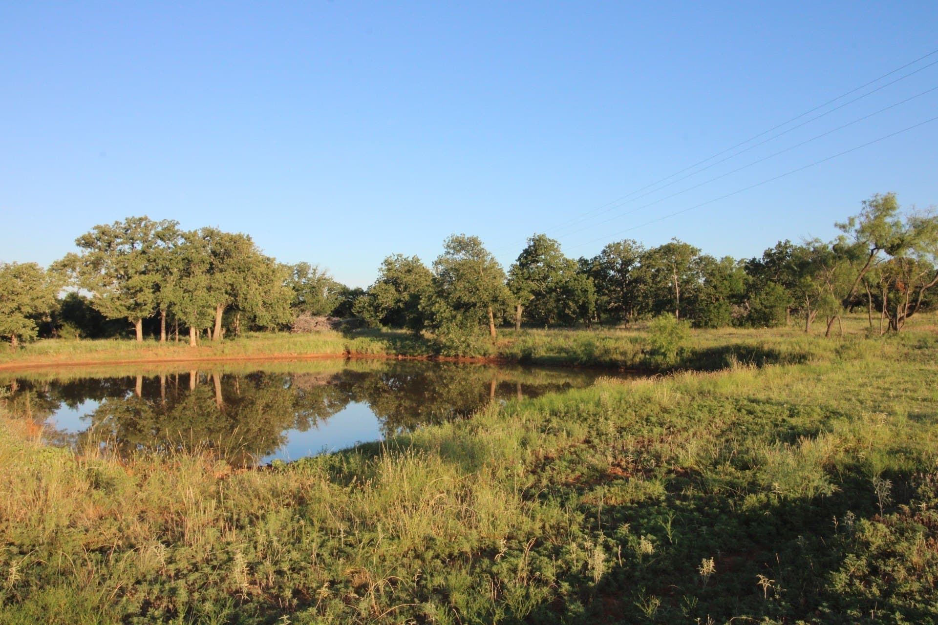 320 acres in Taylor County - photo 30
