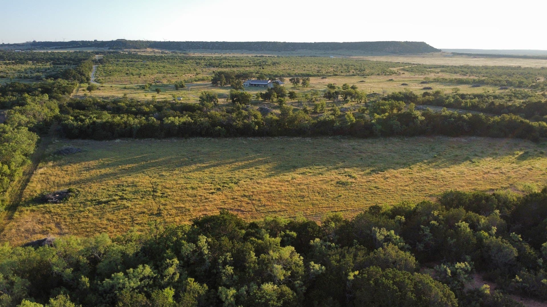 320 acres in Taylor County - photo 5