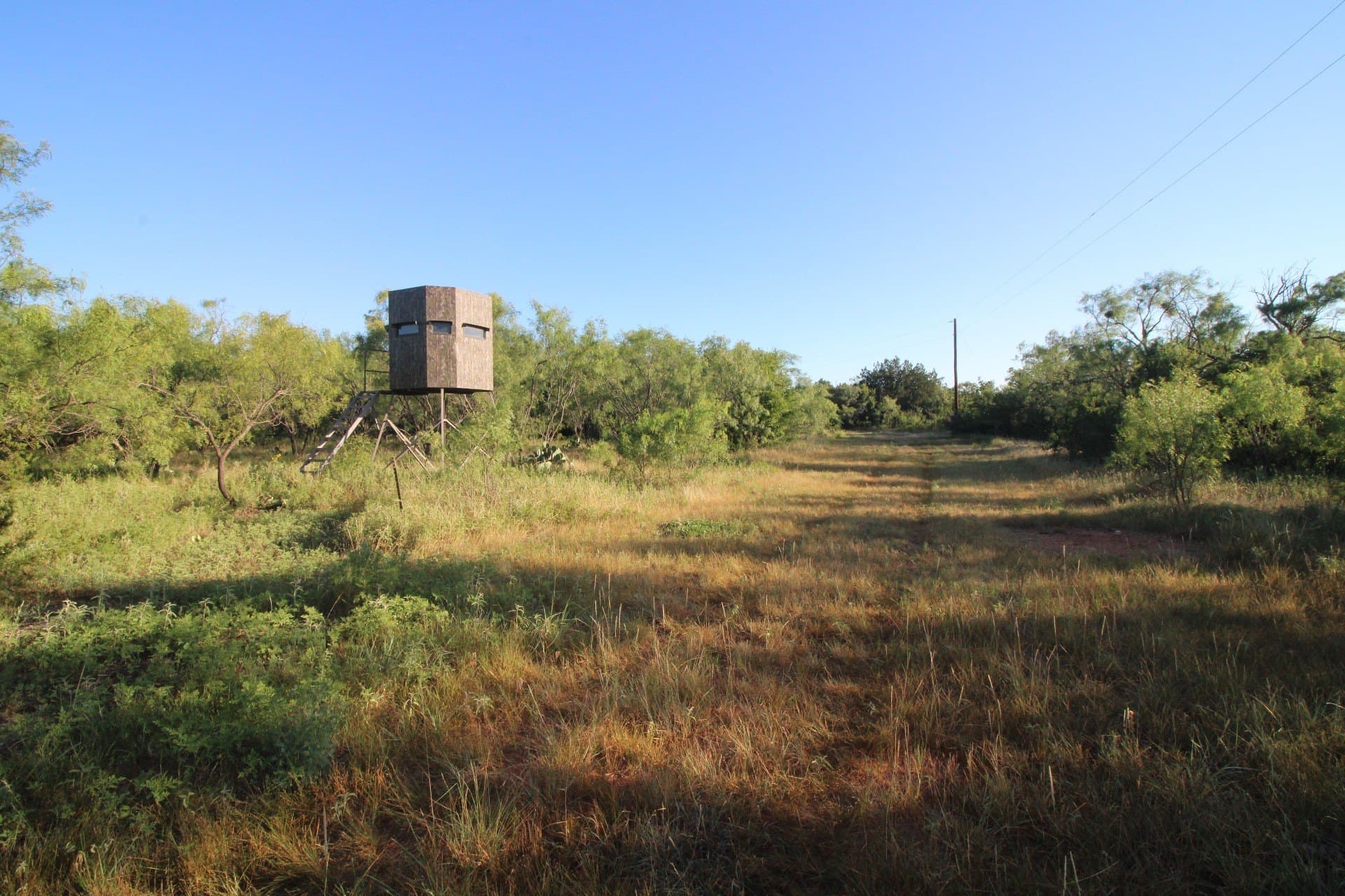 320 acres in Taylor County - photo 36
