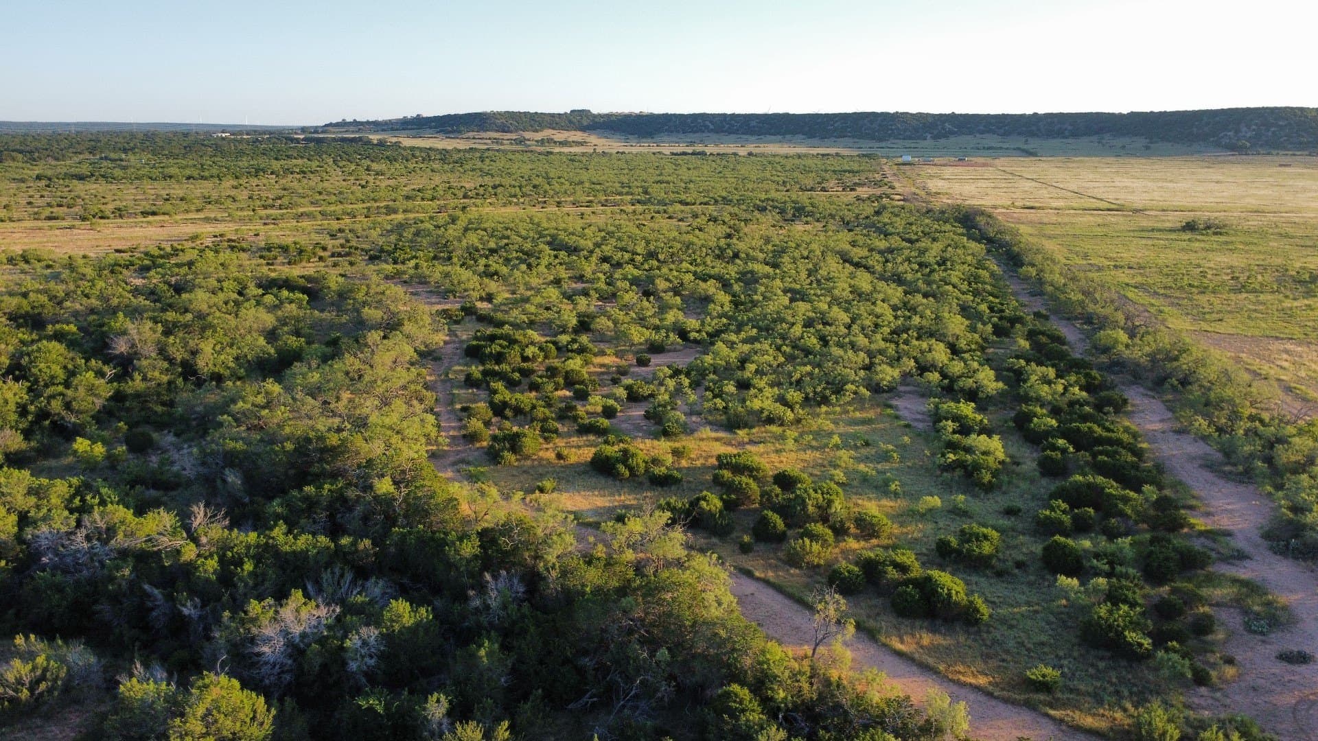 320 acres in Taylor County - photo 34