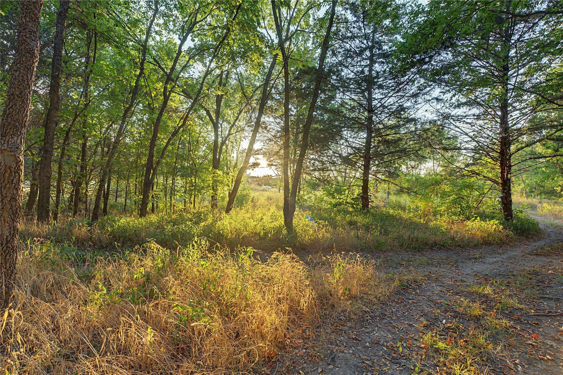 18 acres in Collin County - photo 37