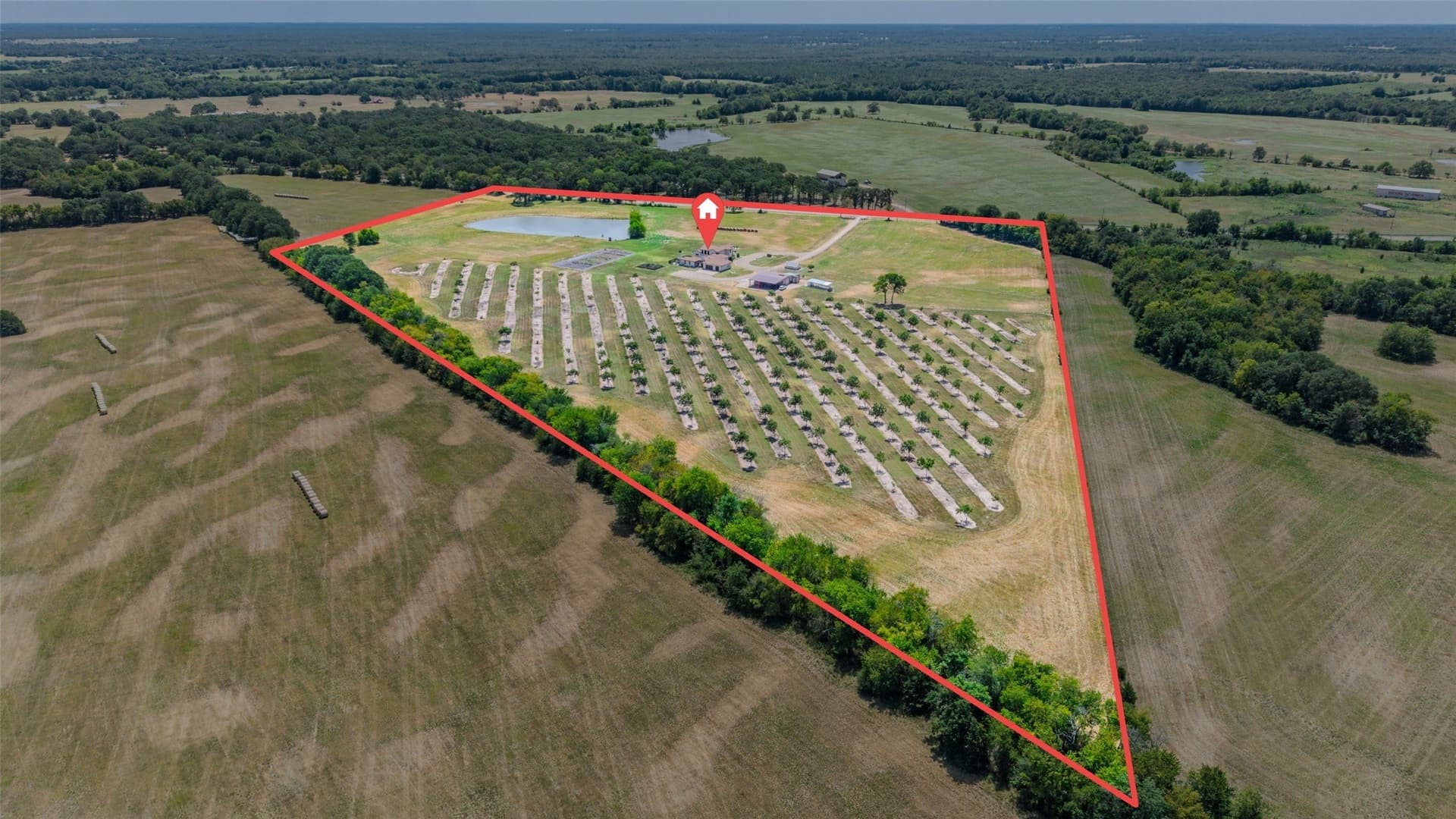 35 acres in Lamar County - photo 38