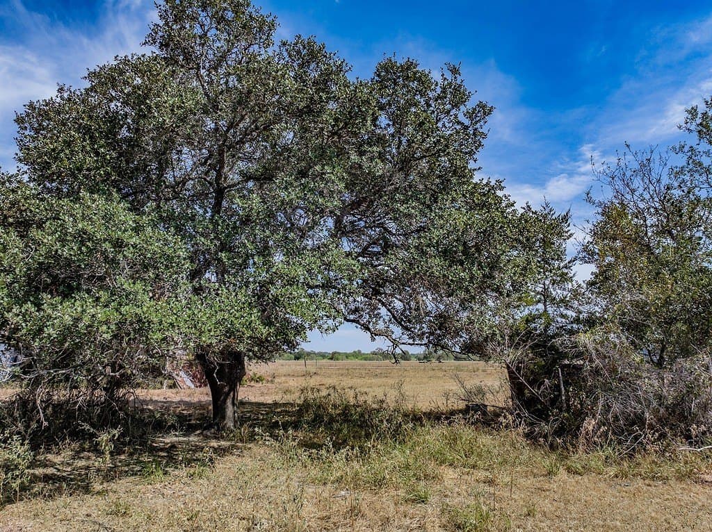 47.7 acres in Fayette County - photo 4