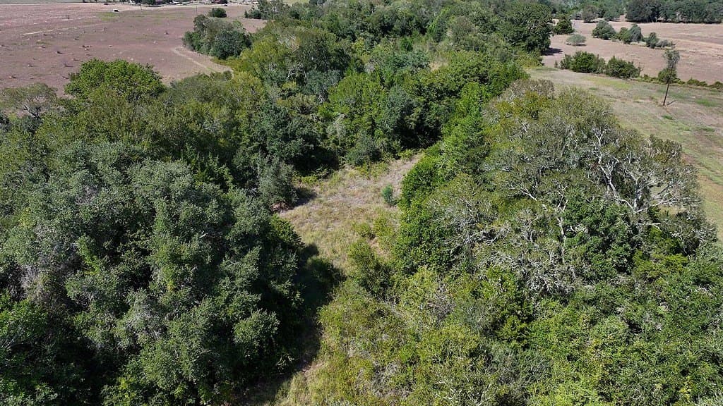 47.7 acres in Fayette County - photo 7