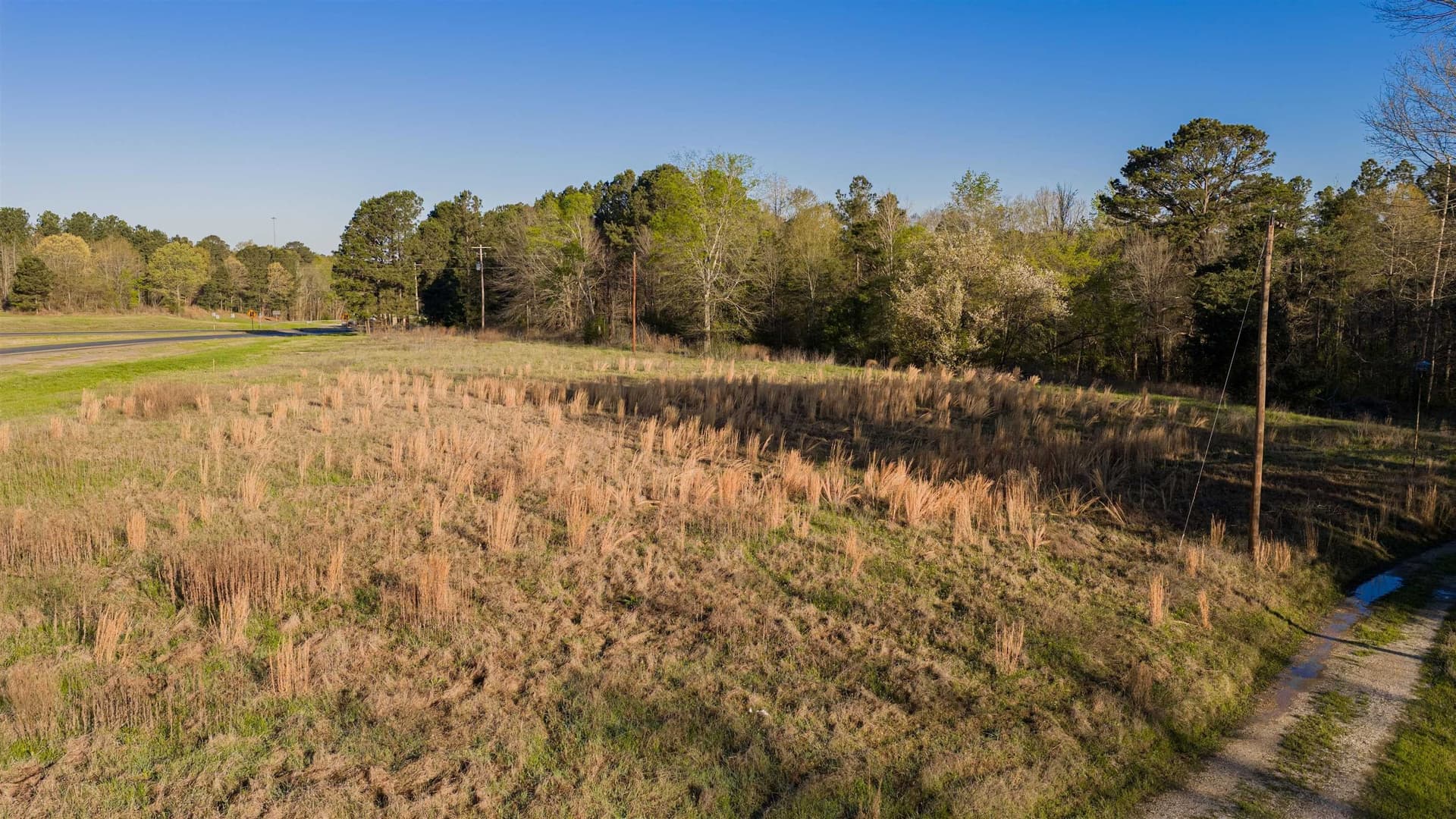 3 acres in Gregg County gallery image 4