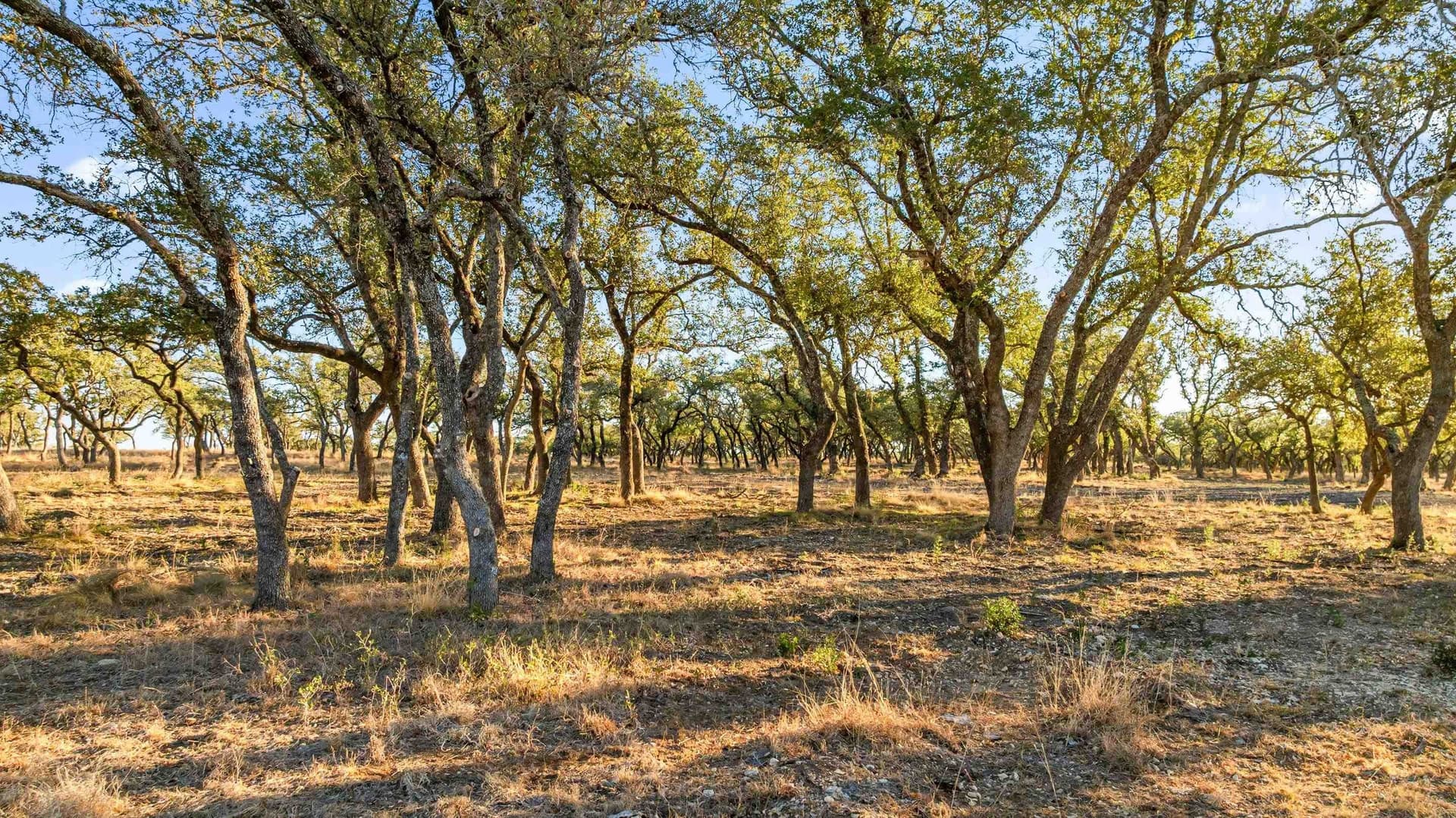 10 acres in Blanco County