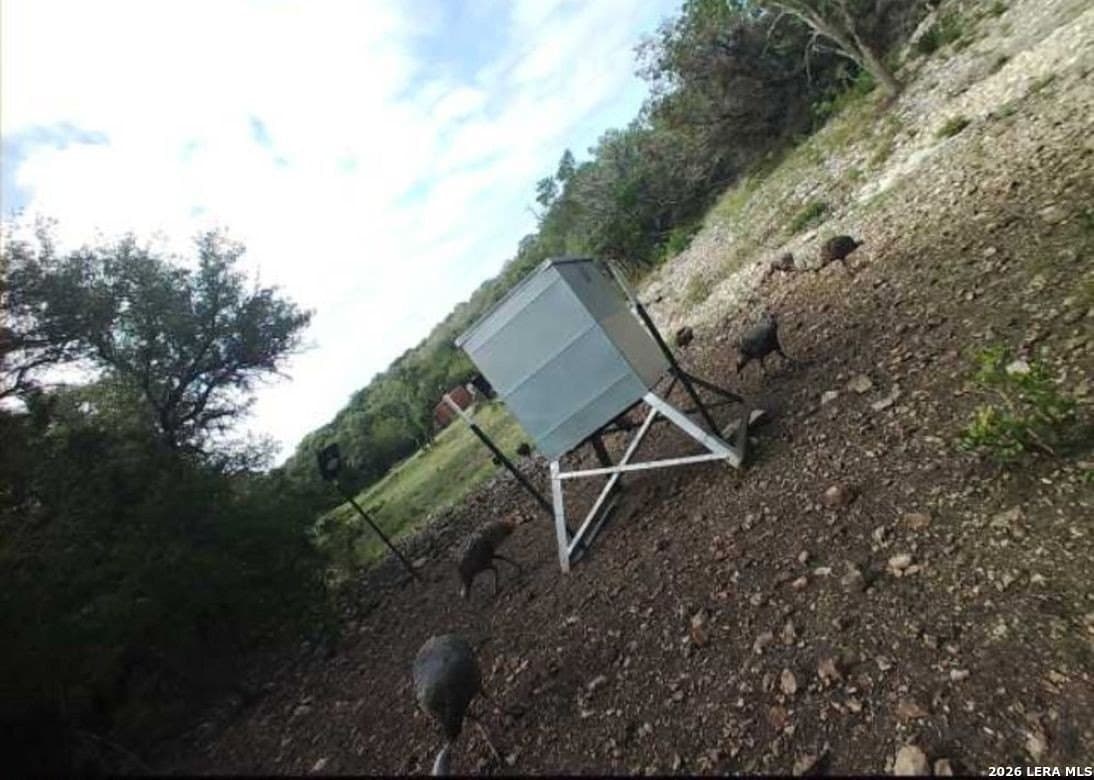 58.44 acres in Edwards County - photo 11
