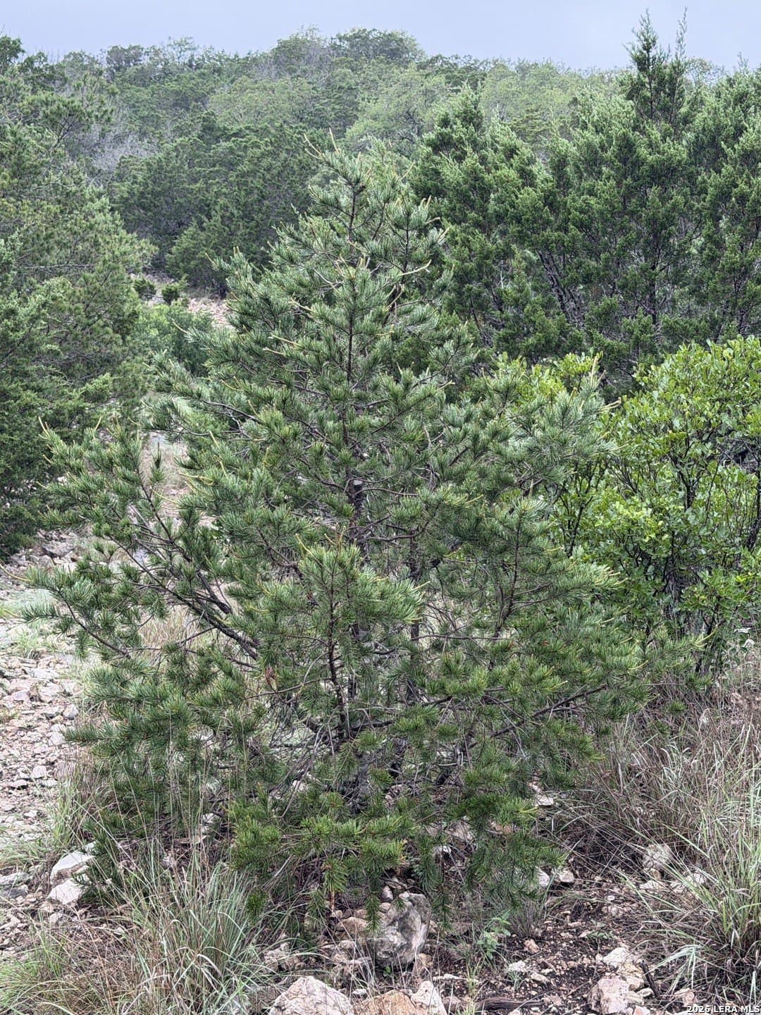 58.44 acres in Edwards County - photo 68