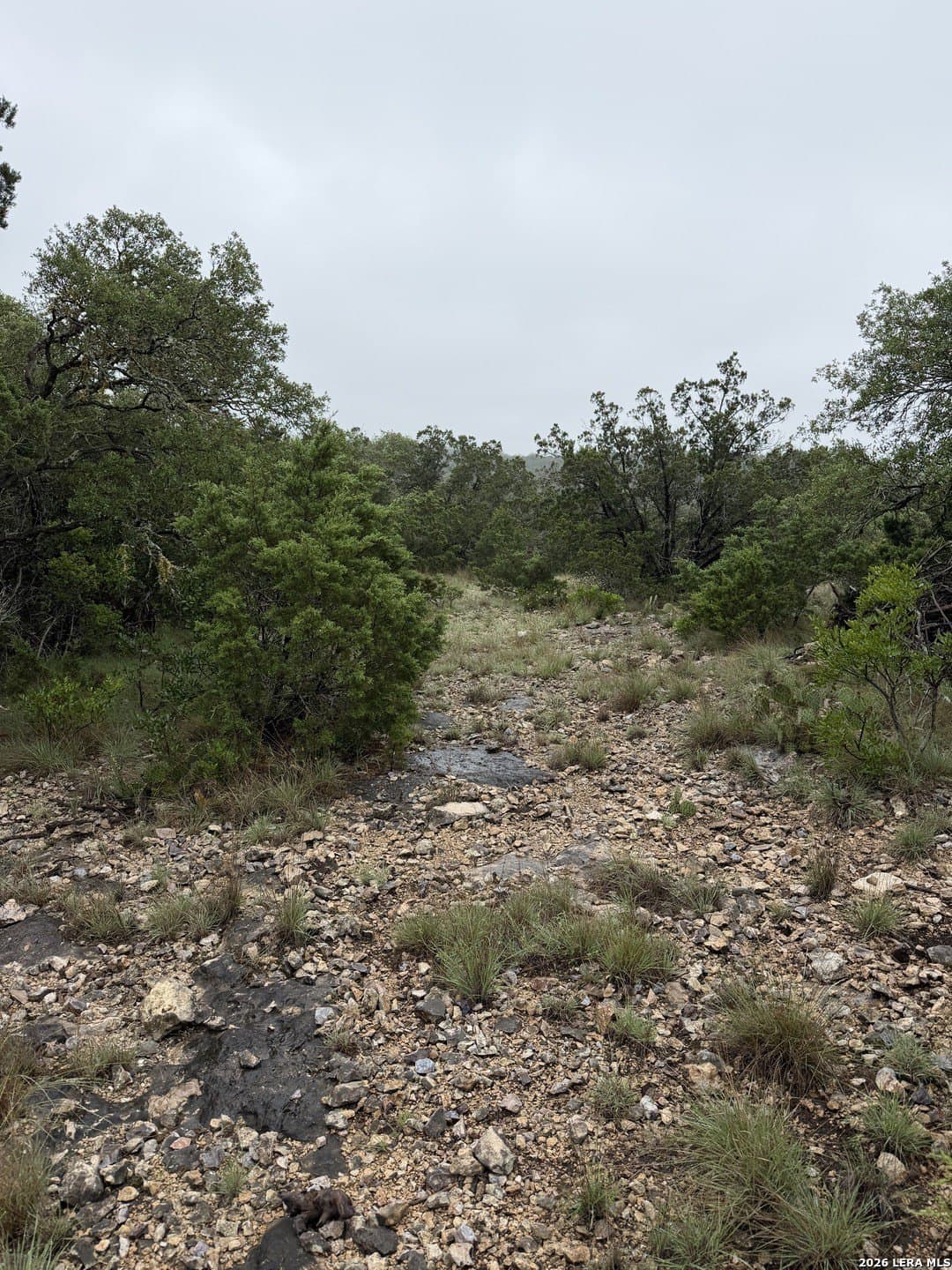 58.44 acres in Edwards County - photo 51