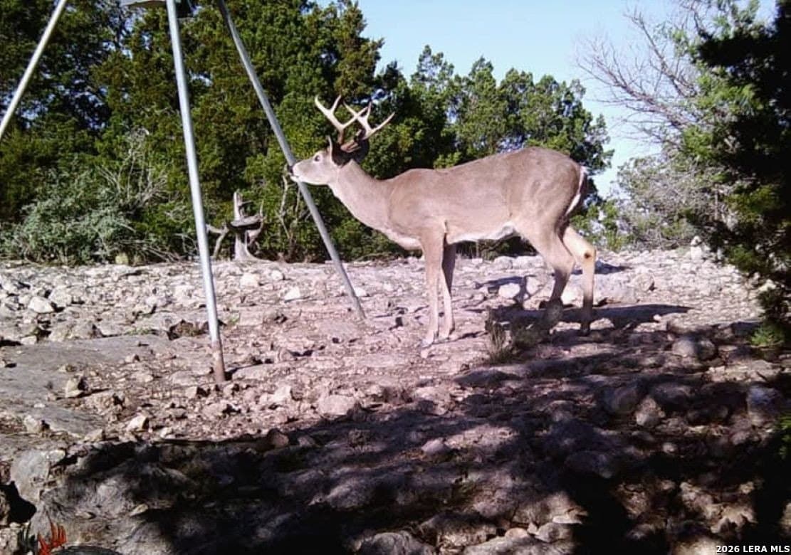 58.44 acres in Edwards County - photo 13