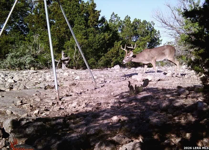 58.44 acres in Edwards County - photo 17