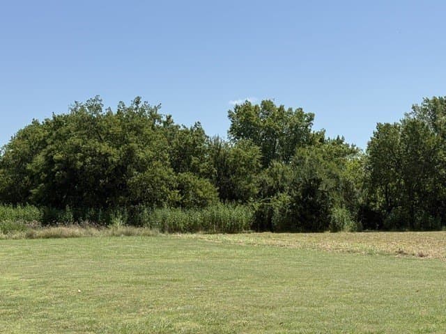 15.03 acres in Hunt County - photo 2